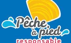 logo pêche à pied responsable